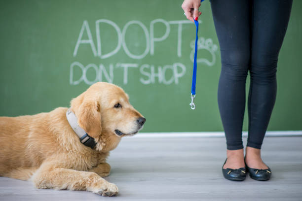  Seek Professional Help if Needed: