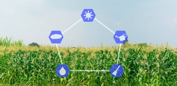 Best Strategies for Higher Yields