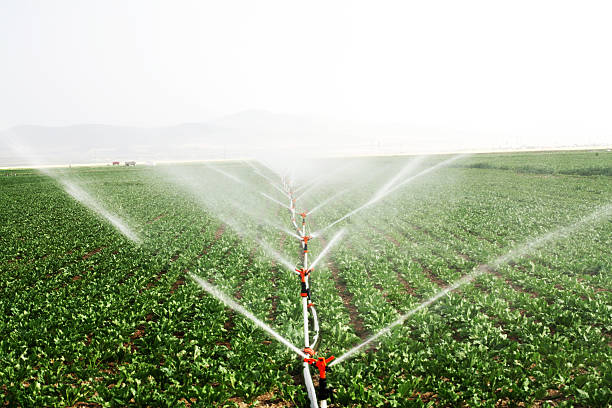 irrigation system